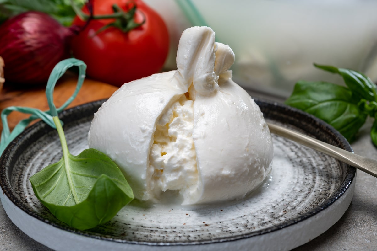 布拉塔干酪的白球