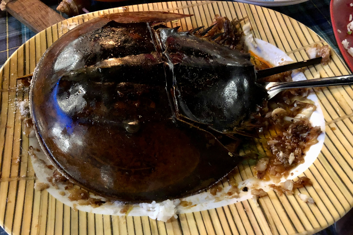 菜单上有马蹄蟹