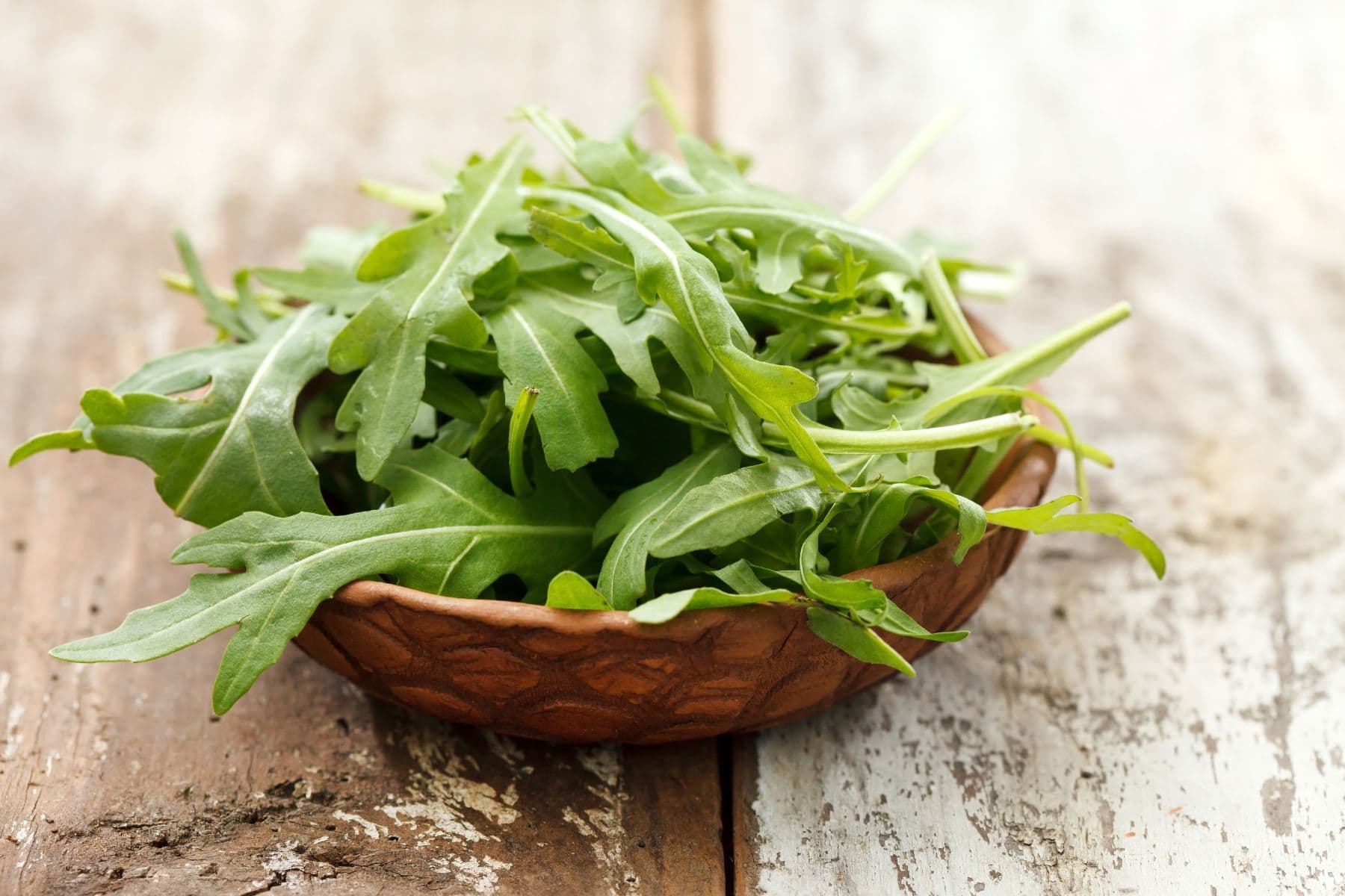 fresh arugula salad