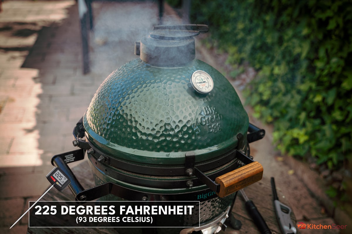 迷你的特写图像最大的绿色鸡蛋户外烧烤。非常流行的陶瓷烧烤大绿色鸡蛋。陶瓷混蛋烧烤烤架,如何冷静下来一个大绿色鸡蛋