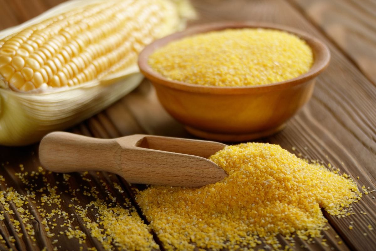 厨房桌子上碗玉米粗燕麦粉和玉米棒子。雷电竞官网网址