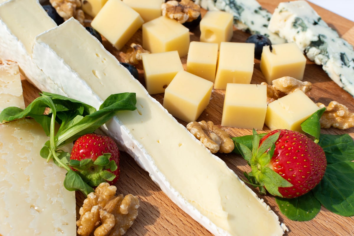 用不同类型的奶酪芝士表